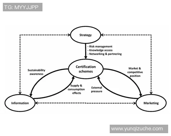 深入分析重庆乒乓球队的运营策略与发展模式探讨 深入分析重庆乒乓球队的运营策略与发展模式探讨