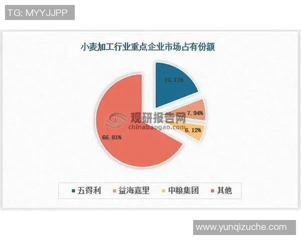 倪永康的政治生涯与影响力分析及其在中国改革中的角色探讨